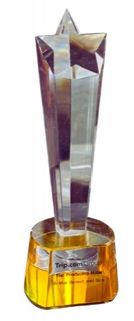 Trip.com  Group Top Producing Hotel